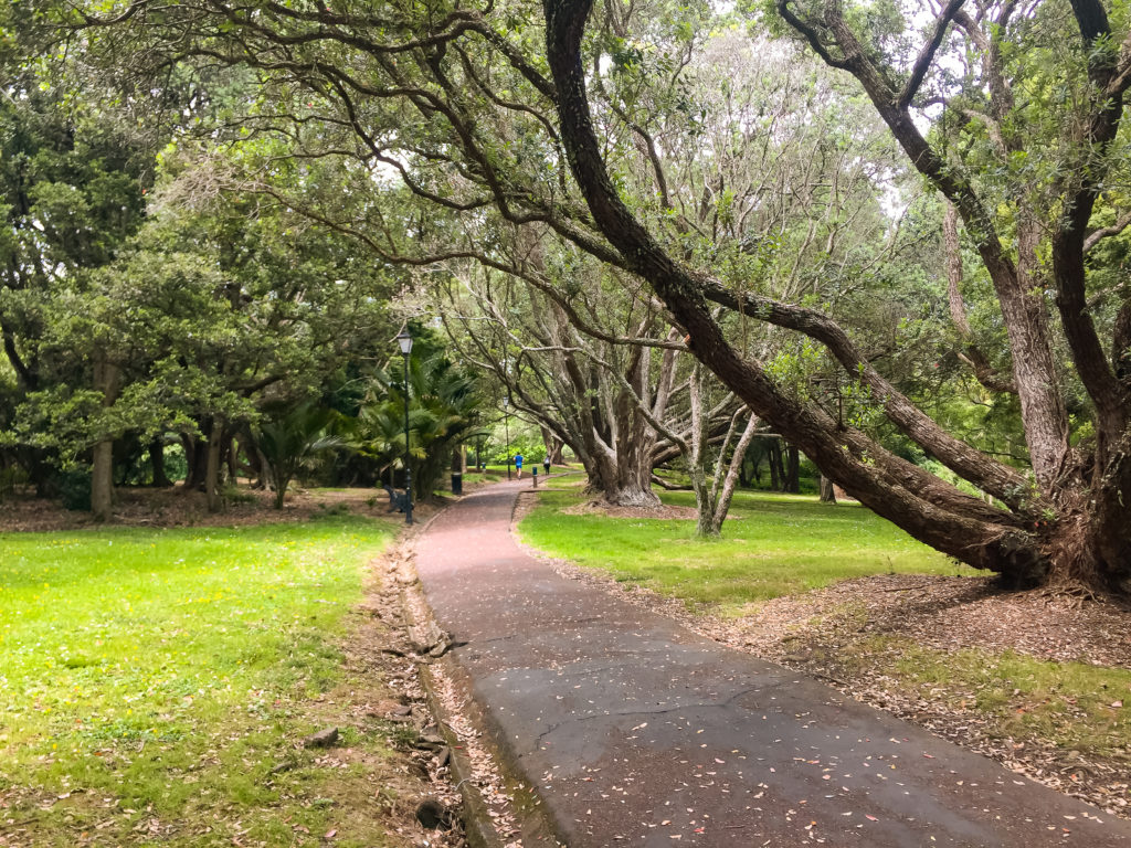 Auckland Domain Pathway - Te Araroa