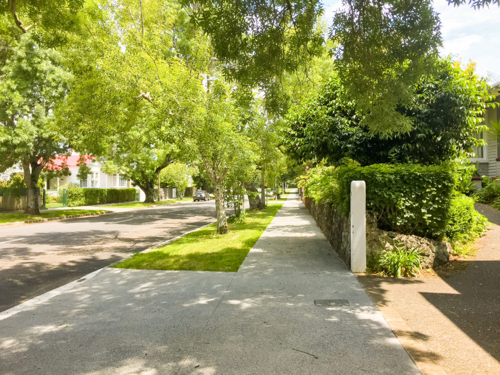 Auckland Road Walking - Te Araroa