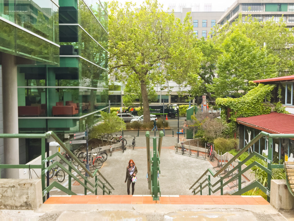 Auckland University Campus - Te Araroa