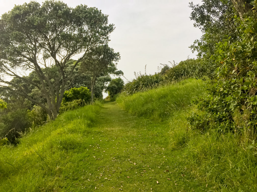 Climbing to North Head Summit - Te Araroa