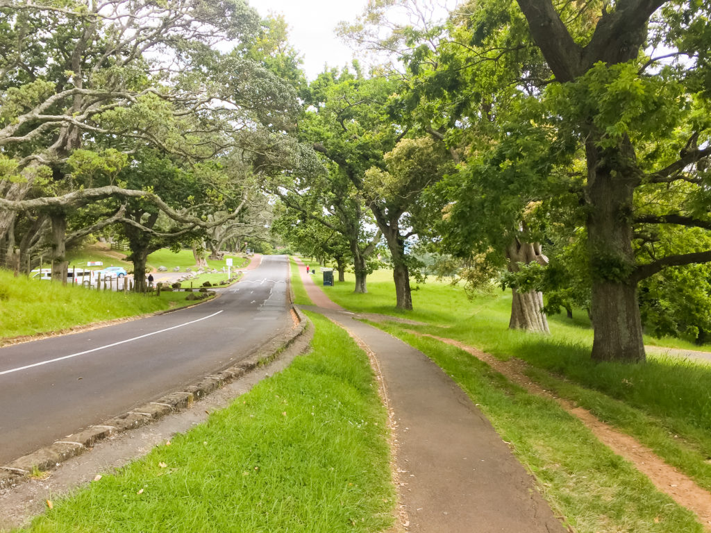 Cornwall Park Track - Te Araroa