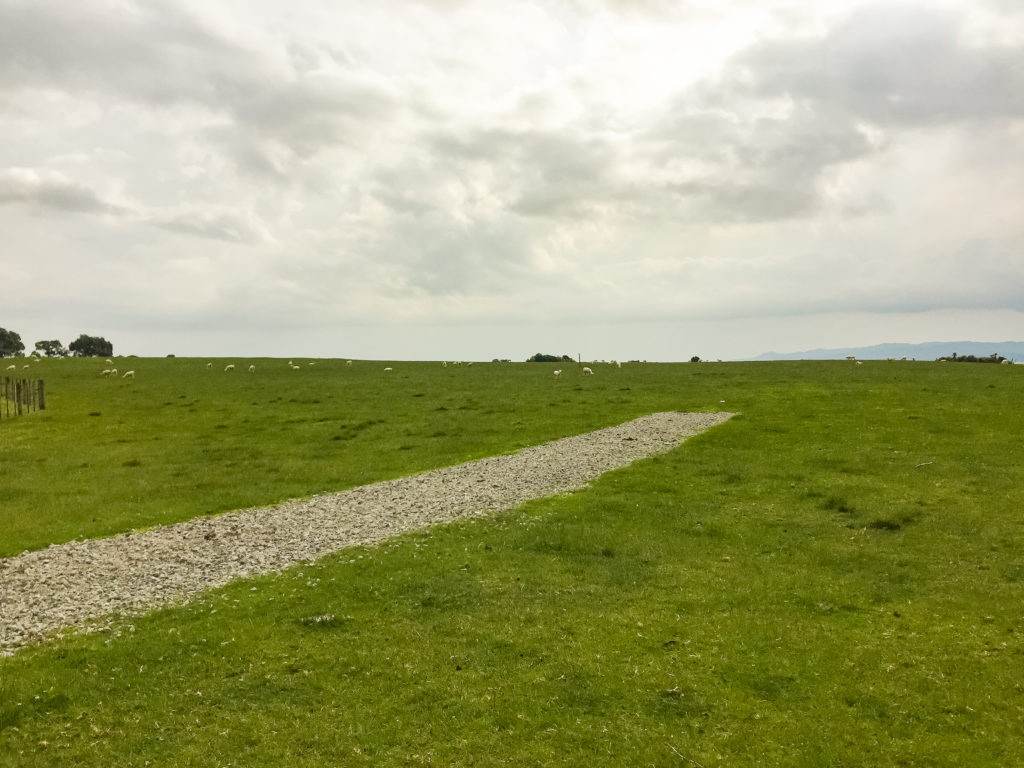 Entering Ambury Regional Park - Te Araroa