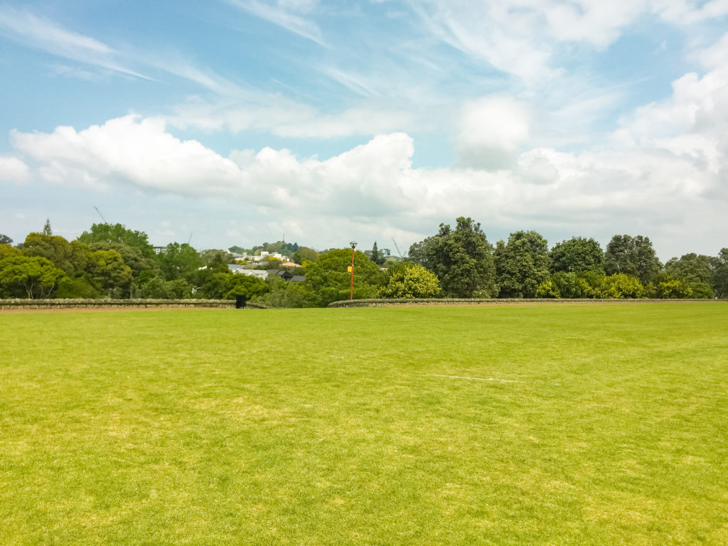 Grassy Field Crossing in Auckland City - Te Araroa