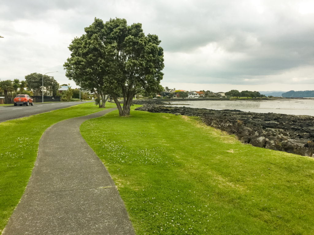 Mangere Coastline - Te Araroa