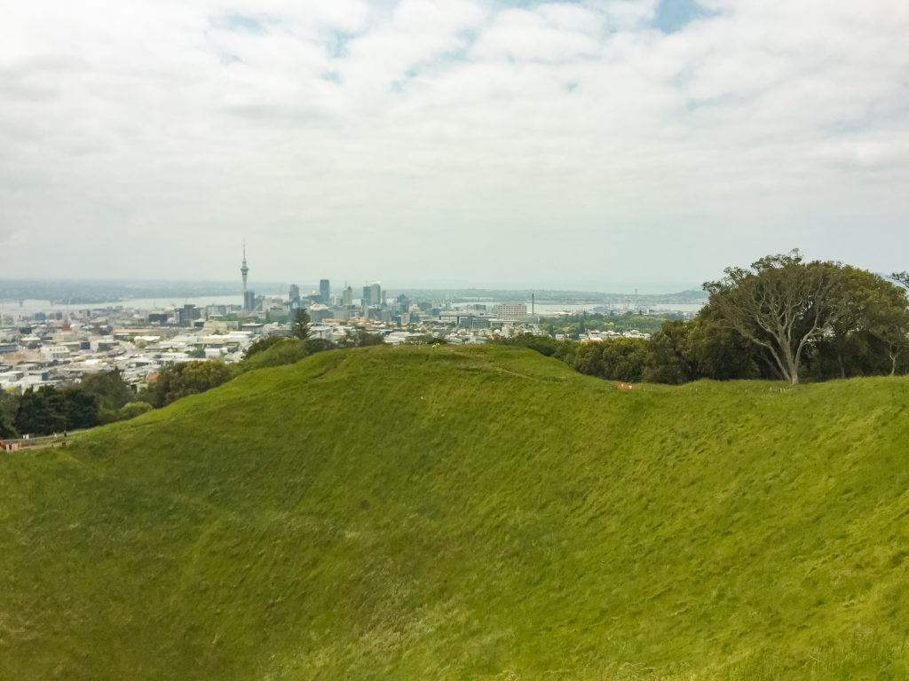 Mt Eden Summit Crater - Te Araroa