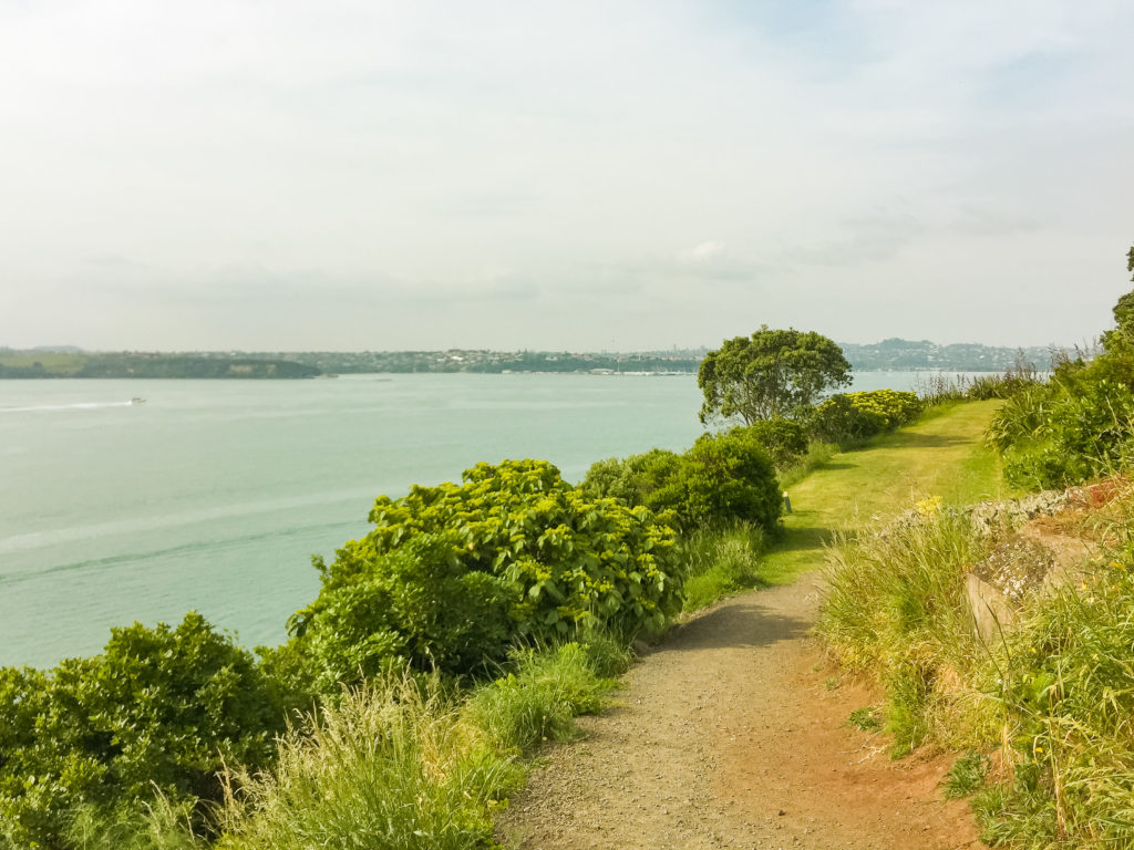 North Head Reserve - Te Araroa