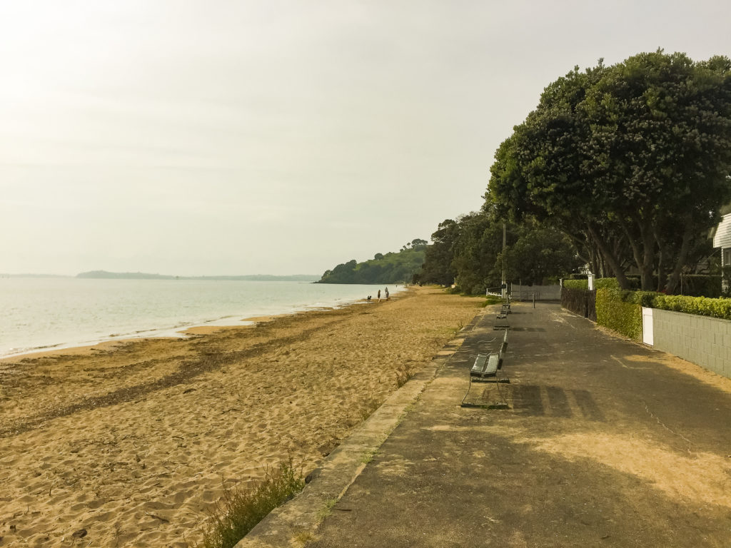 Takapuna Coast Walk - Te Araroa