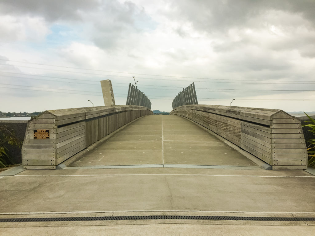 Taumanu Reserve Bridge Crossing - Te Araroa