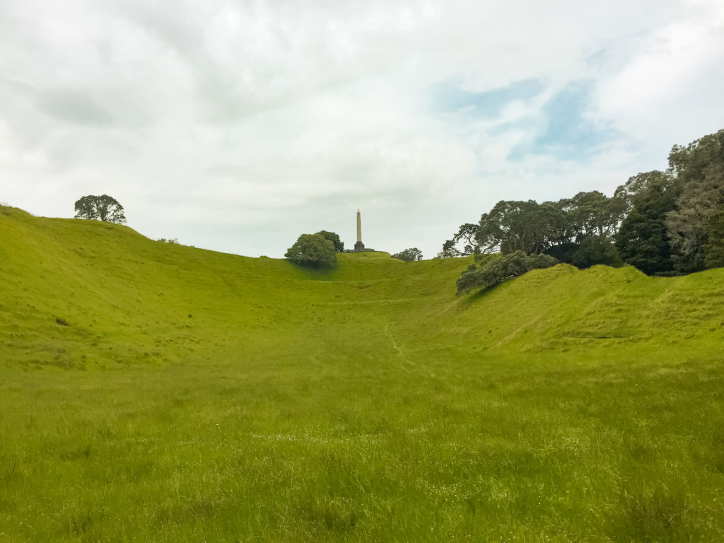 View up to One Tree Hill Summit - Te Araroa