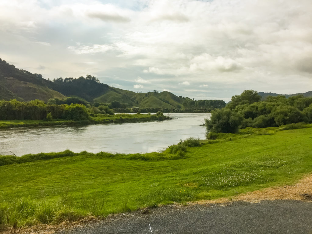 The Waikato River roadside walk early in the morning - Te Araroa