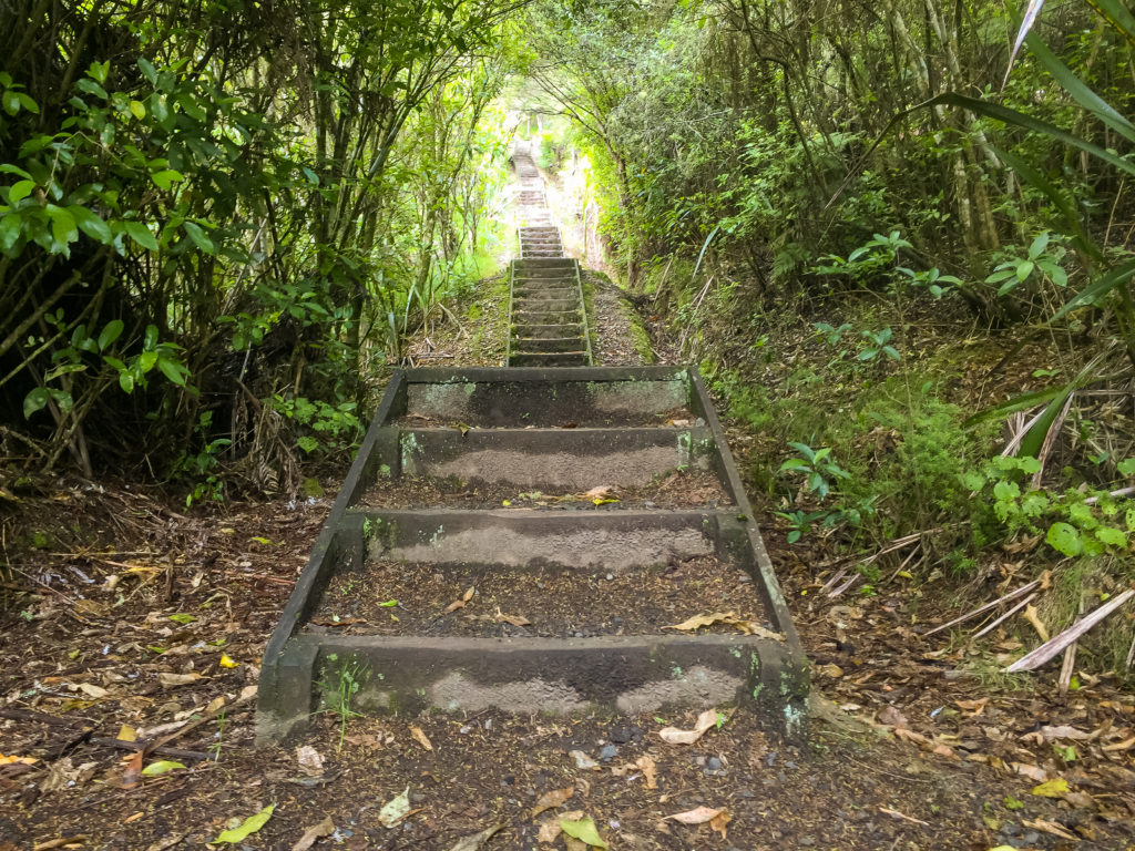 The beginning of the Hakarimata Walkway - Te Araroa Trail Blog