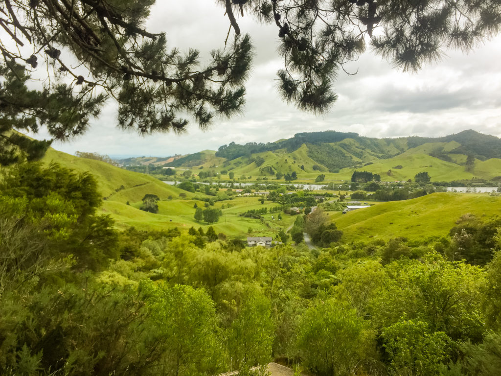 Taking a quick breather to appreciate the view - Te Araroa Trail