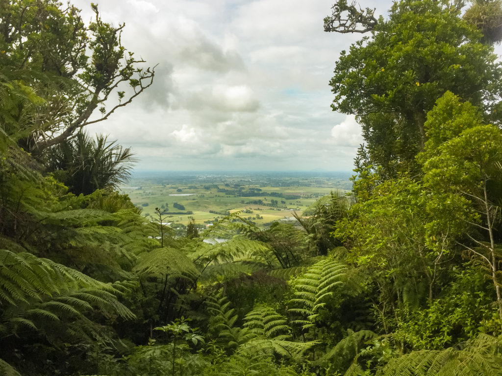 A view out to the South from the Upper Lookout - Te Araroa Trail