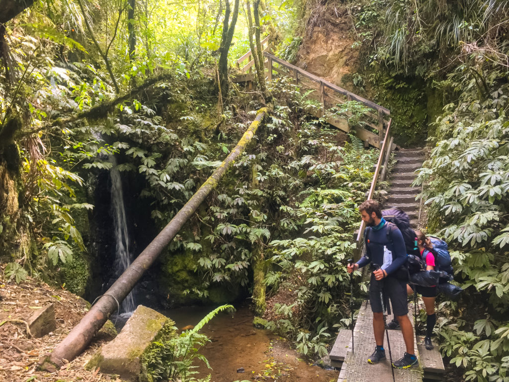 The Hungarians Stop at a Waterfall on the Hakarimata Walkway - Te Araroa Trail Blog