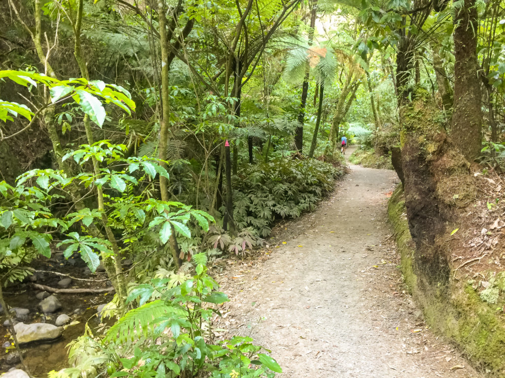 Heading to the End of the Hakarimata Walkway - Te Araroa Trail Blog