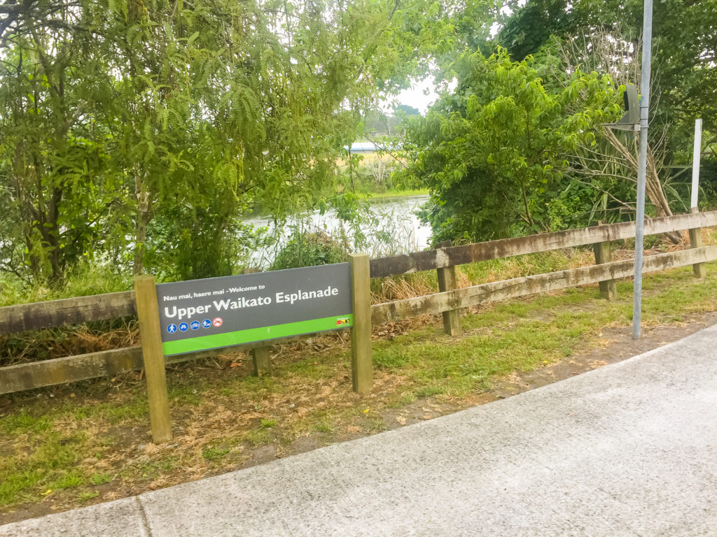 Hiking on the Upper Waikato Esplanade - Te Araroa Trail Blog