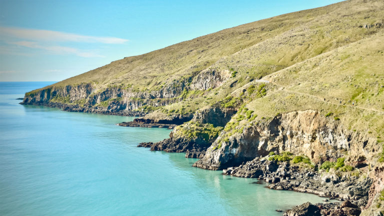 The Godley Head Walk – Christchurch’s Most Picturesque Day Hike!