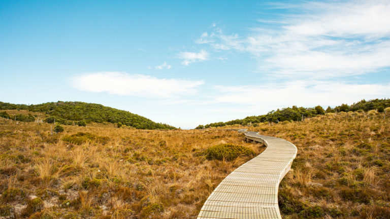 How to Choose A Hiking Trail in NZ – 10 Tips for Choosing the Right Hiking Trail.