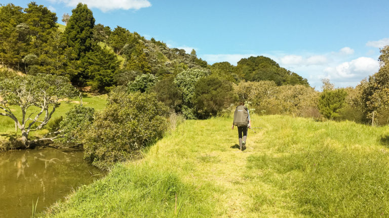 Te Araroa Trail Blog Day 11: Oakura to Whananaki