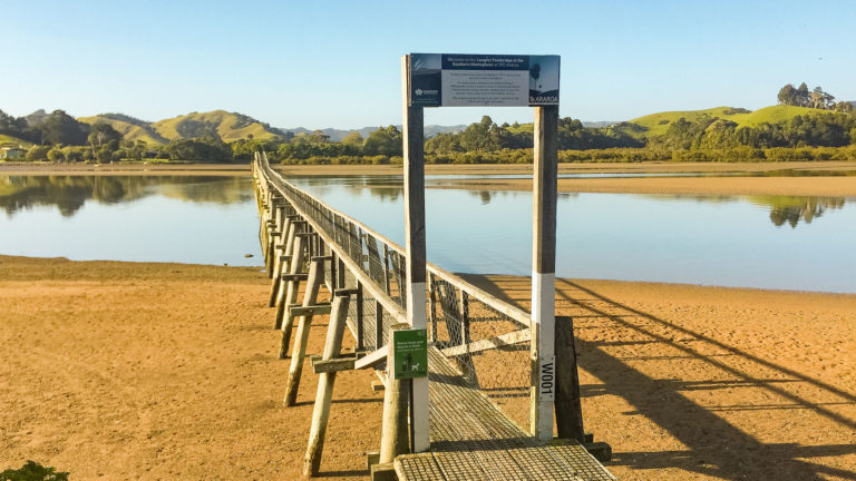 Te Araroa Trail Blog Day 13: Whananaki to Nīkau Bay