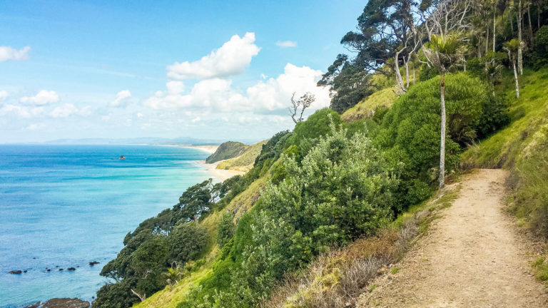 Te Araroa Trail Blog Day 17: Waipu Cove to Mangawhai Heads