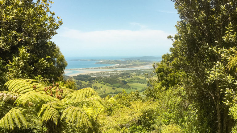 Te Araroa Trail Blog Day 19: Pākiri to Twin Rimus (Govan Wilson Road)