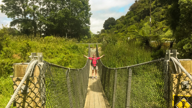 Te Araroa Trail Blog Day 21: Nanekoti Homestay to Puhoi