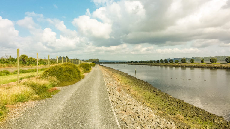 Te Araroa Trail Blog Day 26: Ambury Regional Park to Totara Park