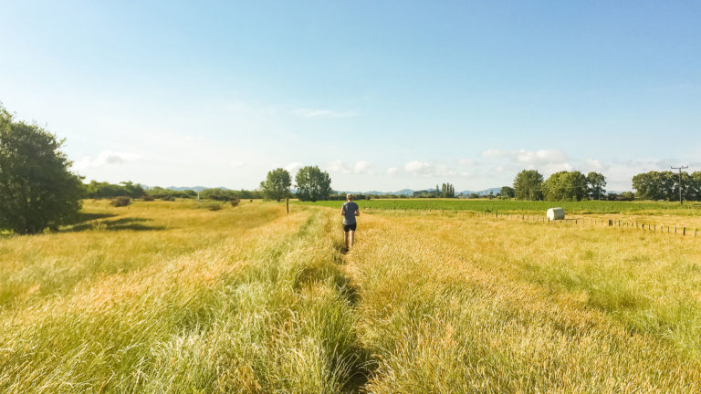 Te Araroa Trail Blog Day 28: Rangiriri to Huntly