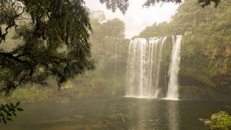 Te Araroa Trail Blog Day 7: Kerikeri River Track