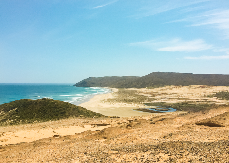 Sand dunes at the end of Te Werahi Beach - Te Araroa.