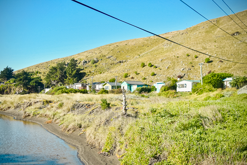 Kiwi baches on the Godley Head Walk path