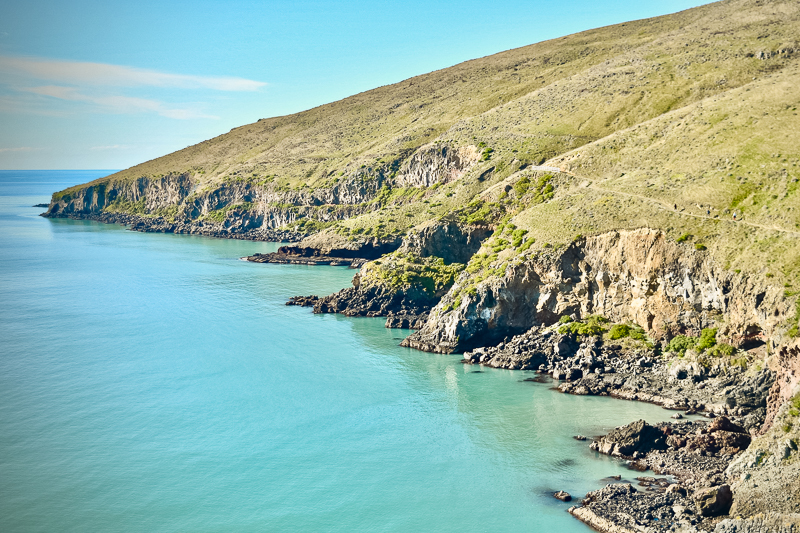 Coastal section - Godley Head Walkway