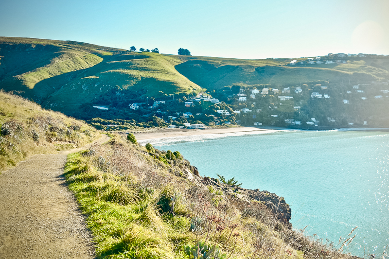 Taylor's Mistake Beach on the Godley Head Walk.