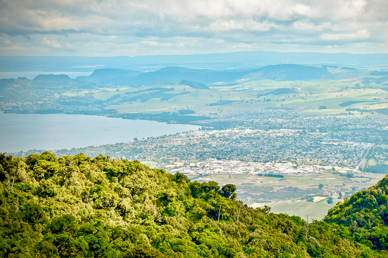 view of taupo from mount tauhara