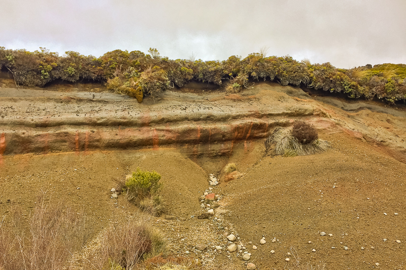 Volcanic Erosion - Taranaki Falls Track.