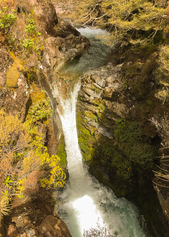Cascade Falls - Taranaki Falls Track
