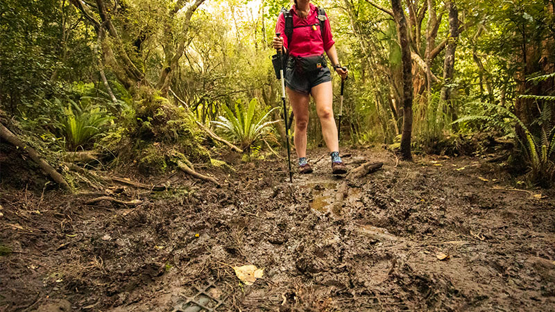 Trail runners are a good option on tracks where your footwear might get wet or muddy often.