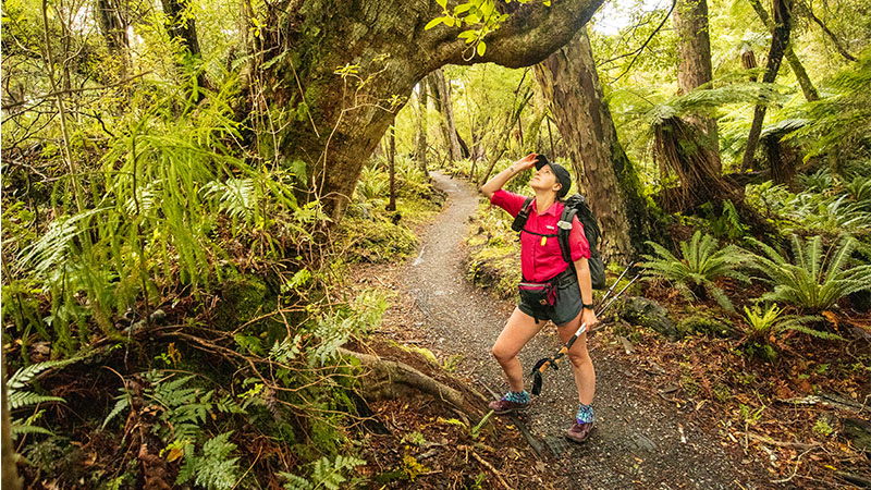 An example of proper clothing to wear on a New Zealand Great Walk hiking trip.