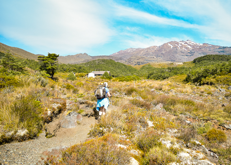 Hiking in New Zealand is different because there are so many facilities on the trails and they are looked after really well (such as our network of backcountry huts).