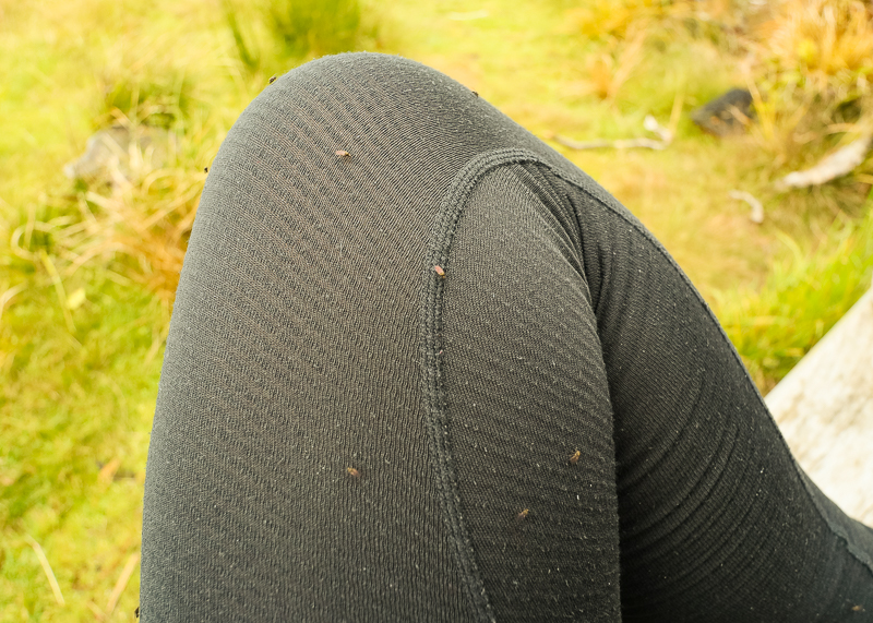 Hiking in NZ is different because nothing is trying to eat you (except the sandflies).