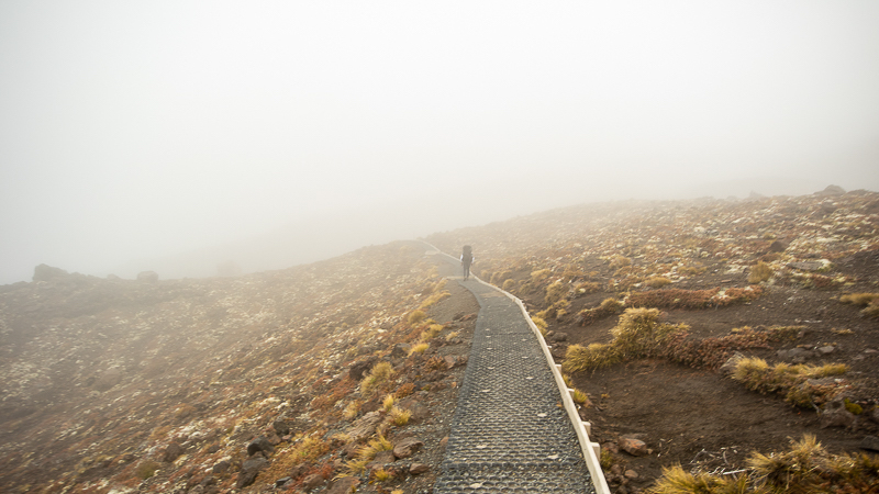 When choosing a Great Walk always be mindful of the suggested season and weather patterns.