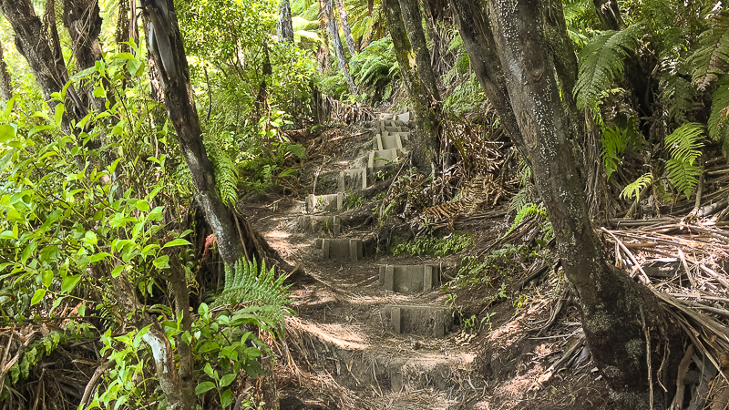 A track with lots of stairs is great preparation for your next Great Walk.