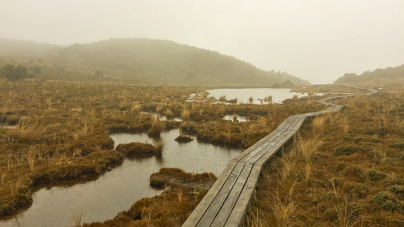 A rainy and wet section of the Blyth Hut Track was excellent preparation for a Great Walk.