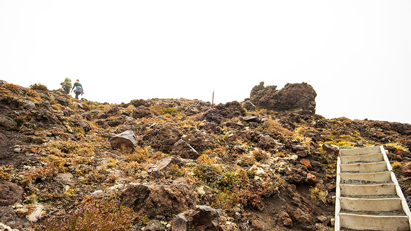 Steep staircases on popular tracks are how to prepare for a great walk.