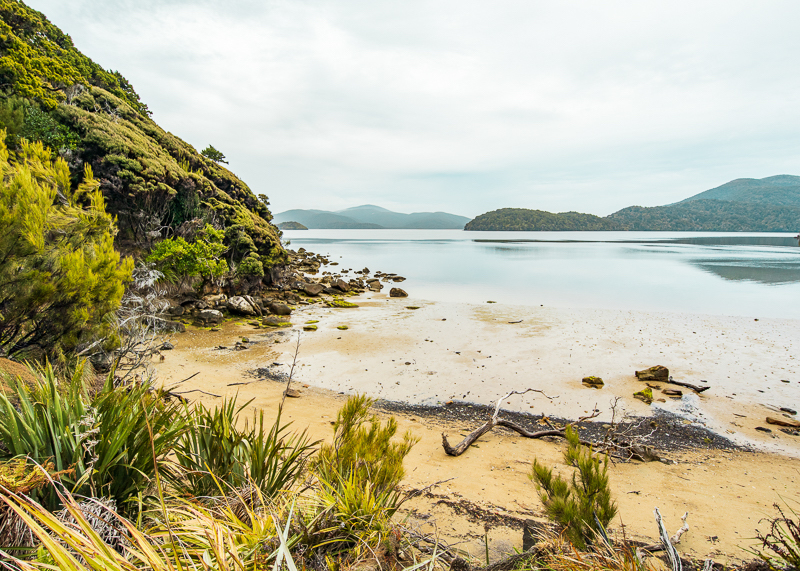 Rakiura Stewart Island can be added on to a Te Araroa thru hike - Te Araroa FAQs