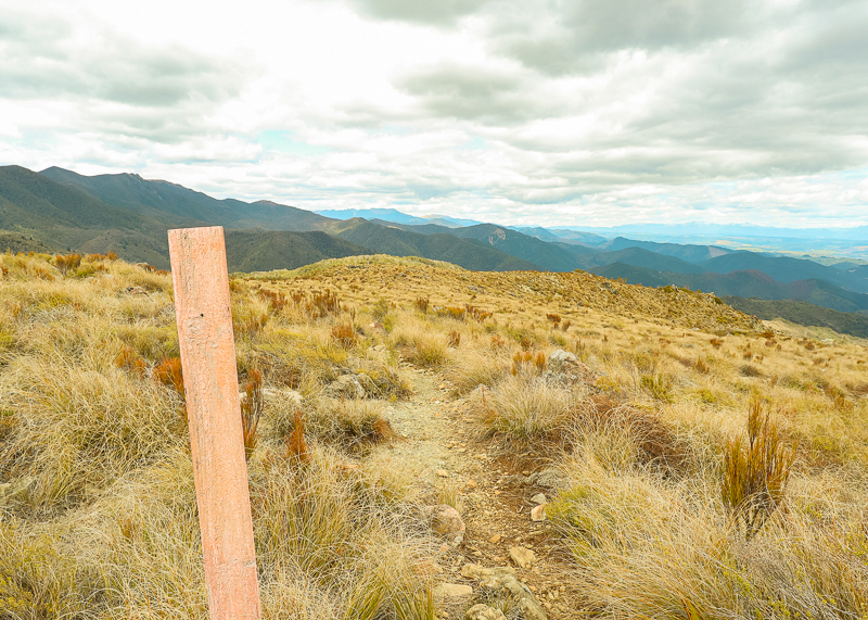 Terrain is more rugged in the South Island so you'll need some more heavy duty shoes.