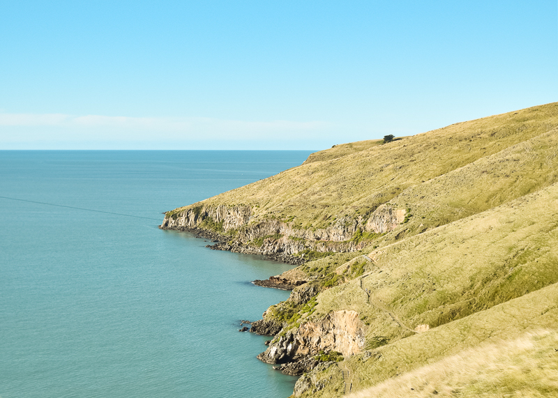 The Awaroa Walkway is classified as easy in the types of hiking trails in New Zealand.