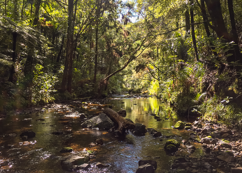 The Russell Forest follows the course of this river for a fair distance.