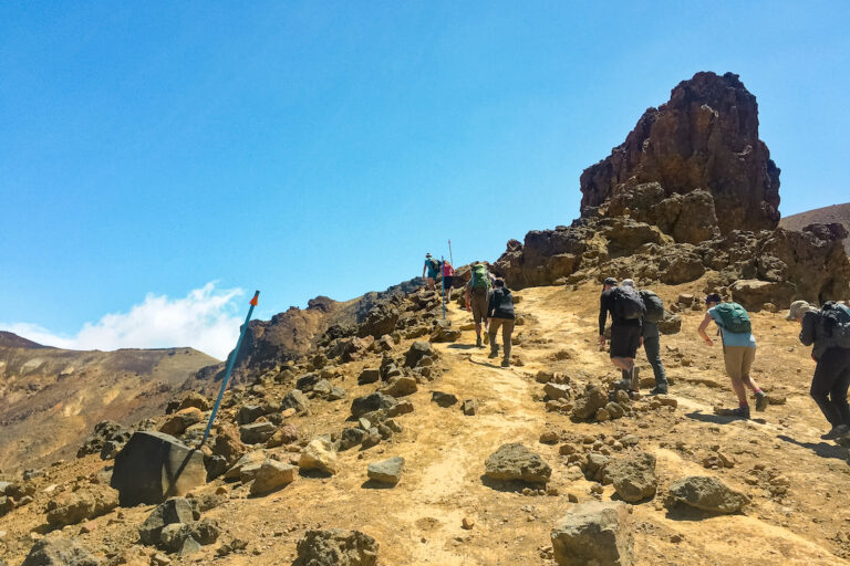 Why You Need to Take a Tongariro Crossing Guided Walk: Tips to Find The Best Tongariro Crossing Guides